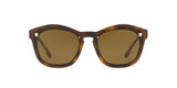 527673 - Havana - Brown