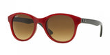 Ray Ban 4203 Sunglasses