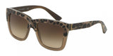 Dolce & Gabbana 4262 Sunglasses