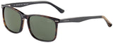 Jaguar 37169 Sunglasses