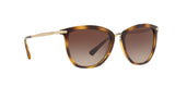 500313 - Gradient Brown