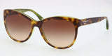 Coach 8055 Sunglasses