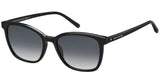 Tommy Hilfiger Th1723 Sunglasses