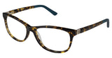 Nicole Miller NMBROOK Eyeglasses