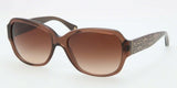 Coach 8036 Sunglasses