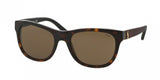 Polo 4091 Sunglasses