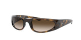 Ray Ban 4332 Sunglasses