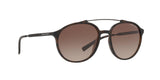 802913 - Havana - Brown Gradient