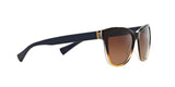 1444T5 - Brown - Brown Gradient Polarized