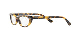 2605 - Brown Yellow Tortoise