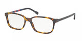 Polo 2113 Eyeglasses