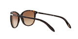 510/13 - Havana - Brown Gradient