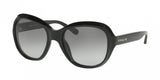 Coach 8197F Sunglasses