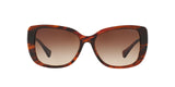 162513 - Brown - Smoke Gradient