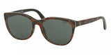 Polo 4117 Sunglasses