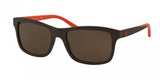 Polo 4095 Sunglasses