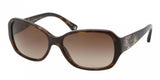 Coach 8011B Sunglasses