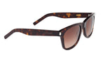 004 - Havana/Havana - Brown