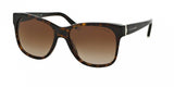 Ralph Lauren 8115 Sunglasses