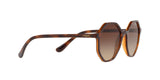 238613 - Brown Gradient