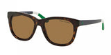 Polo 4105 Sunglasses