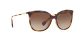 500313 - Havana - Gradient Brown
