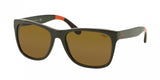 Polo 4106 Sunglasses
