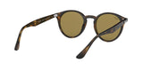 710/73 - Havana - Dark Brown