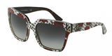 Dolce & Gabbana Enchanted Beauties 4234 Sunglasses