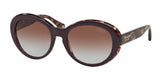 Coach 8077 Sunglasses