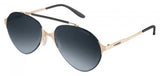 Carrera 124 Sunglasses