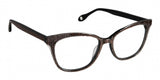 Fysh F3646 Eyeglasses