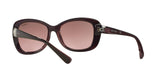 194114 - Brown - Pink Gradient Brown
