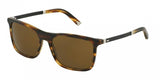 Dolce & Gabbana 4242 Sunglasses