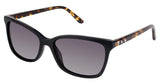 Nicole Miller NMNASSAU Sunglasses