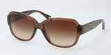 Coach L518 Pamela 8036F Sunglasses