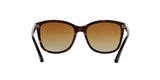 5026T5 - Havana - Polar Brown Gradient