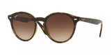 Ray Ban Blaze Panthos 4380NF Sunglasses