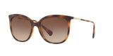 500313 - Havana - Gradient Brown