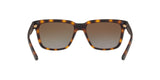 8029T5 - Havana - Polar Brown Gradient