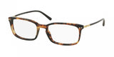 Polo 2088 Eyeglasses