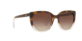 573513 - Gradient Brown