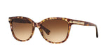 528713 - Light Brown - Brown Gradient