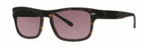 Original Penguin THE BRADDOCK Sunglasses