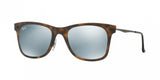 Ray Ban 4210 Sunglasses