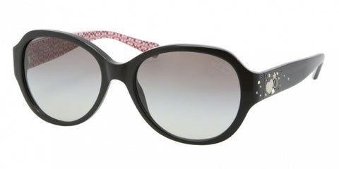 Coach 8022B Sunglasses