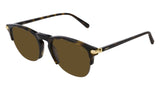 Brioni BR0049S Sunglasses