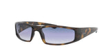 Ray Ban 4335 Sunglasses