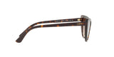W65613 - Havana - Brown Gradient