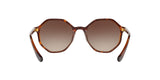 238613 - Brown Gradient